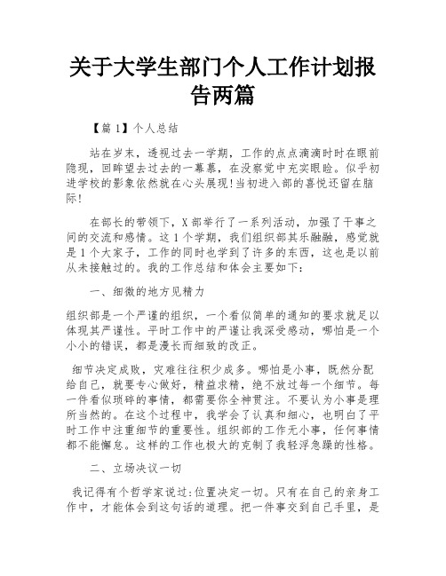 关于大学生部门个人工作计划报告两篇