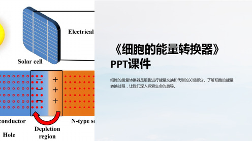 《细胞的能量转换器》课件