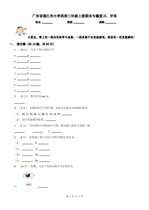 广东省湛江市小学英语三年级上册期末专题复习：字母