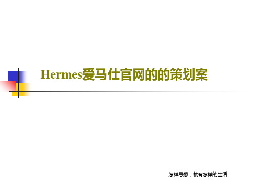 Hermes爱马仕官网的的策划案共22页文档