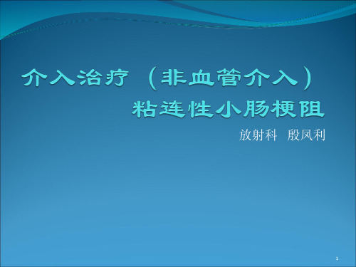 小肠梗阻的介入治疗精品PPT课件