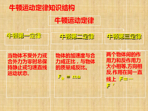 高中物理牛顿运动定律的应用(动图、流程图)