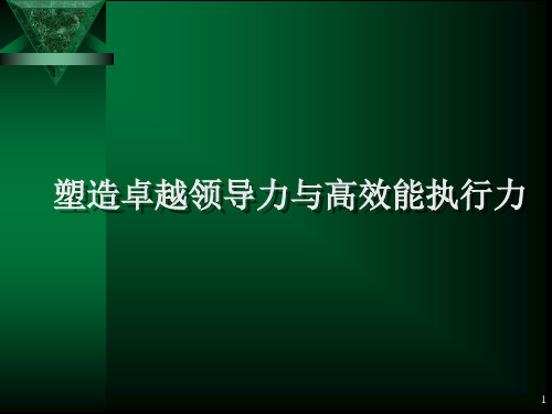 塑造卓越领导力与高效能执行力完整版精品PPT课件