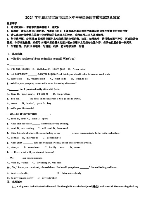 2024学年湖北省武汉市武昌区中考英语适应性模拟试题含答案