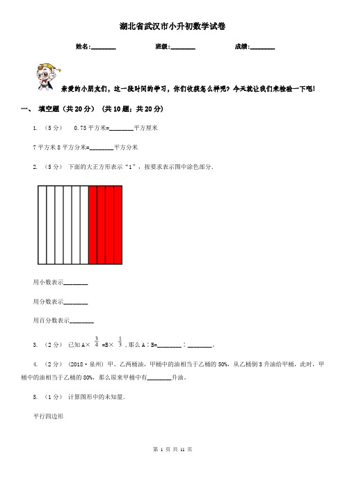 湖北省武汉市小升初数学试卷