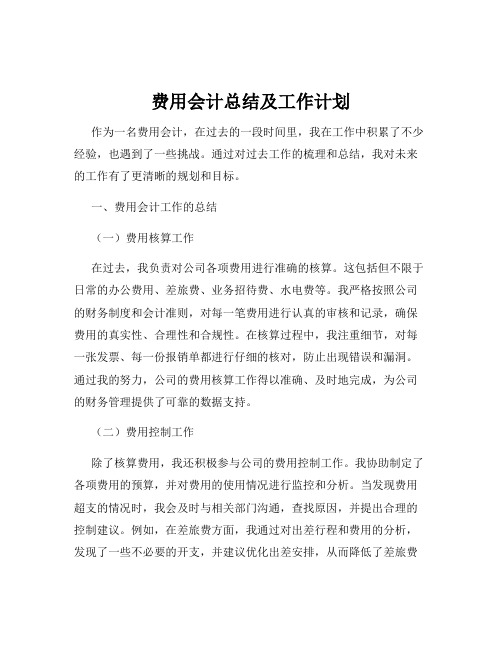 费用会计总结及工作计划