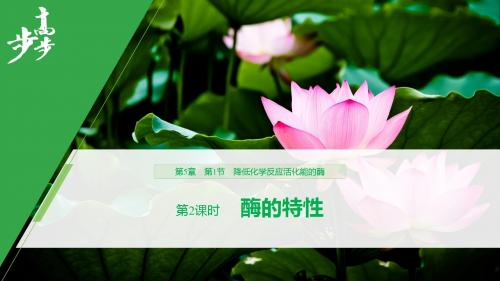 高2022届高2019级高中高一生物必修1全套课件第5章 第1节 第2课时