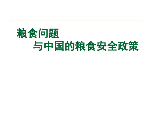 粮食问题与中国的粮食安全政策