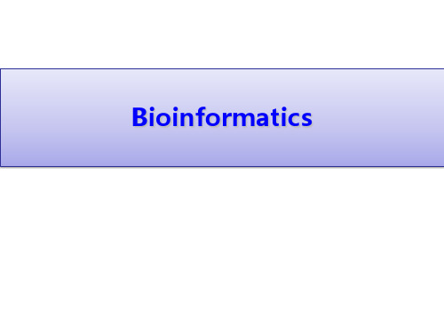 生物信息学Bioinformatics