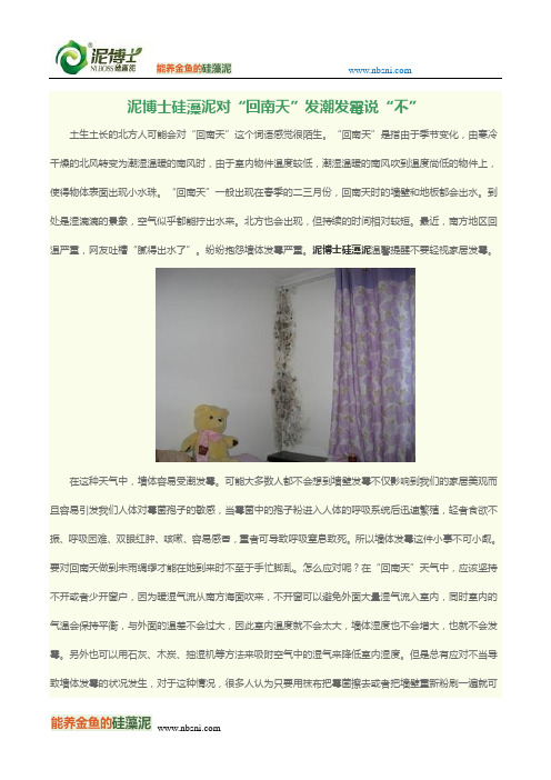 泥博士硅藻泥对“回南天”发潮发霉说“不”