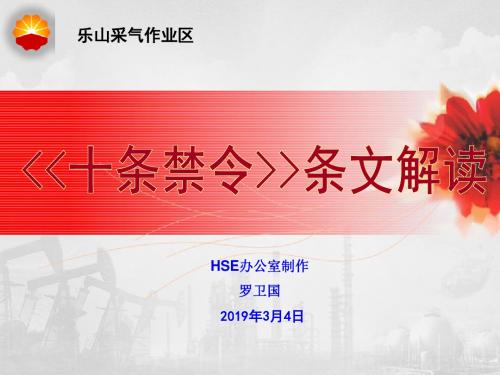 分公司“十条禁令”条文解读培训课件20193-PPT文档资料