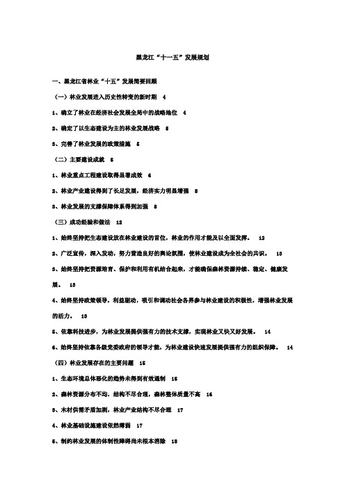 黑龙江十一五规划