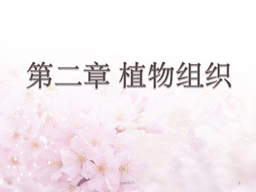 《植物组织》PPT课件