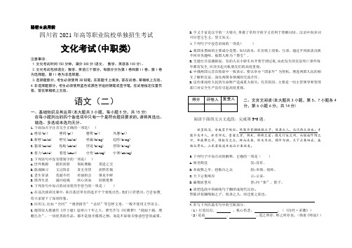 2021四川单招文化考试(中职类)语文模拟卷(二)(含答案解析)