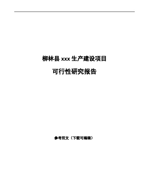 柳林县项目可行性研究报告通用