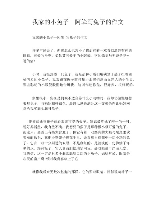 我家的小兔子—阿笨写兔子的作文2021字