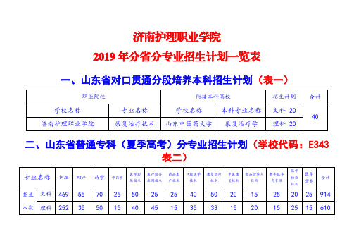 济南护理职业学院2019年分省分专业招生计划一览表