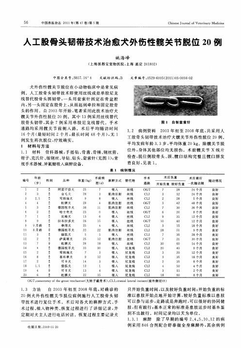 人工股骨头韧带技术治愈犬外伤性髋关节脱位20例