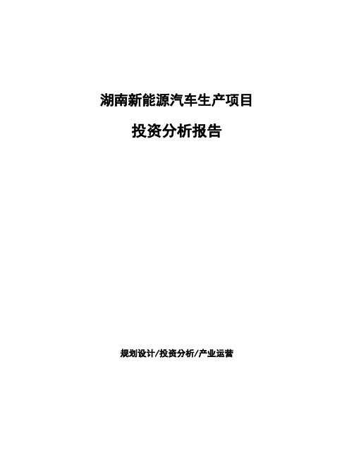 湖南新能源汽车生产项目投资分析报告