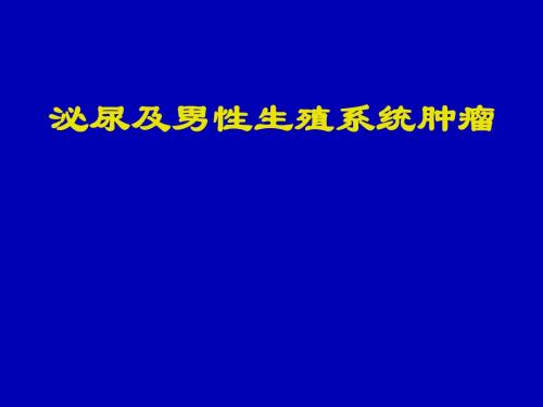 泌尿及男性生殖系统肿瘤 PPT课件