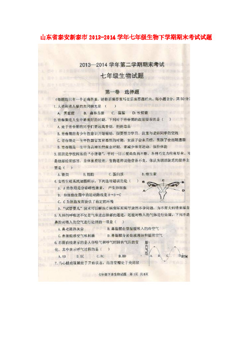 山东省泰安新泰市2013-2014学年七年级下学期生物期末考试试题(扫描版)(word版含答案)-推荐下载