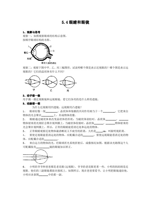 5.4眼睛和眼镜