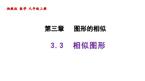 相似图形课件2021-2022学年湘教版数学九年级上册