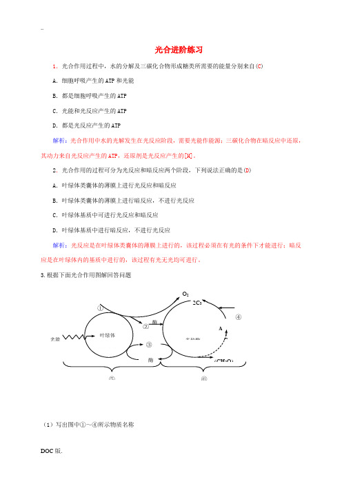 高中生物 5.4 光合作用练习 新人教版高一必修1生物试题