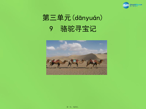 七年级语文下册 9 骆驼寻宝记课件 语文版