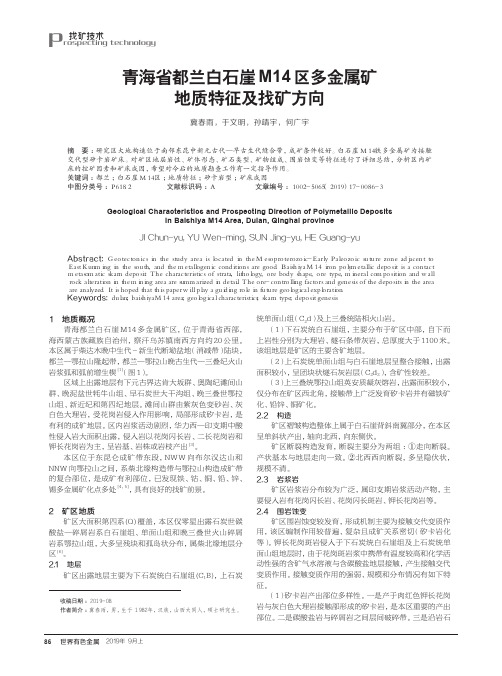 青海省都兰白石崖m14区多金属矿地质特征及找矿方向