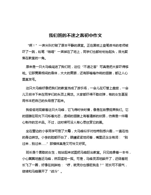 我们班的不速之客初中作文