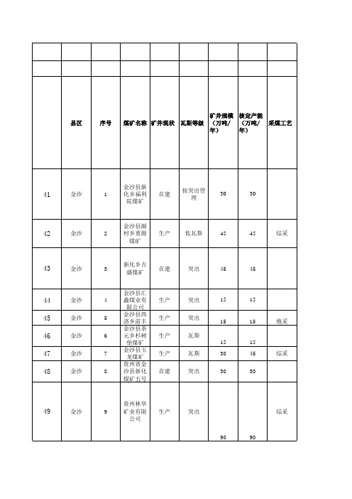 金沙县修改后192处煤矿日报表12.11(1)