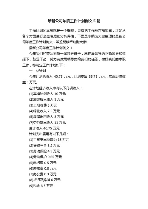 最新公司年度工作计划例文5篇