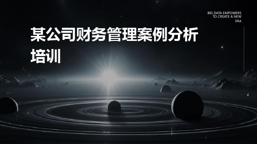 某公司财务管理案例分析培训