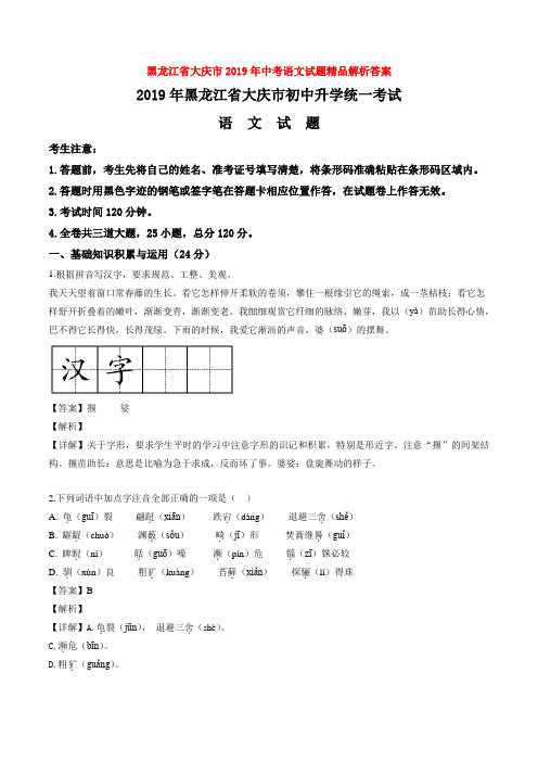 黑龙江省大庆市2019年中考语文试题精品解析答案