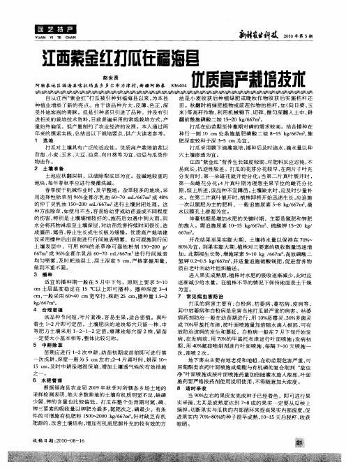 江西紫金红打瓜在福海县优质高产栽培技术