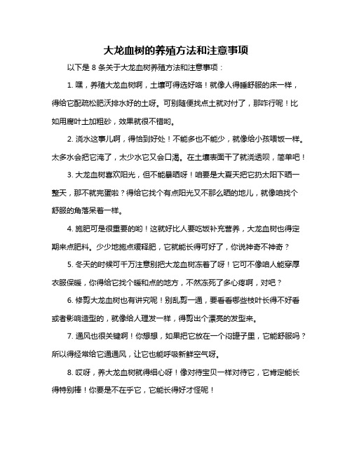 大龙血树的养殖方法和注意事项