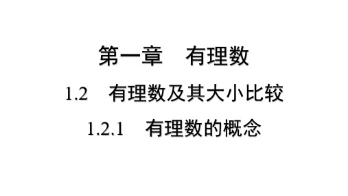 1.2.1 有理数的概念   课件 2024-2025学年 人教版数学七年级上册