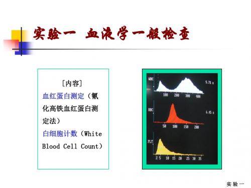 血液学一般检查