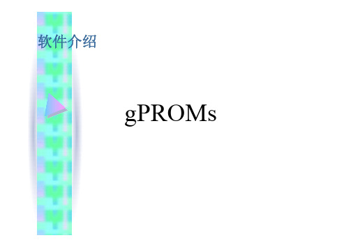 gPROMS 软件介绍与例子