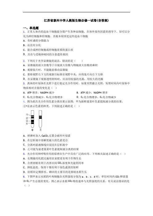 江苏省泰兴中学人教版生物必修一试卷(含答案)