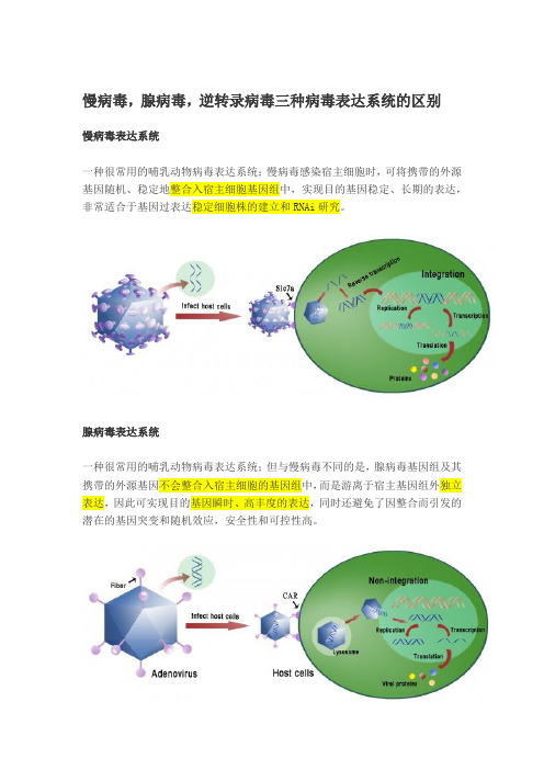 转录过程中慢病毒,腺病毒,逆转录病毒三种病毒表达系统的区别