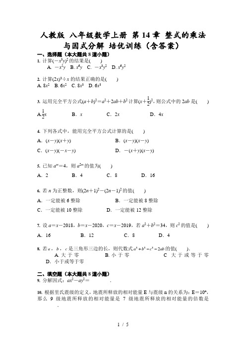 人教版 八年级数学上册 第14章 整式的乘法与因式分解 培优训练