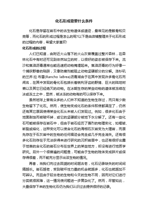 化石形成需要什么条件