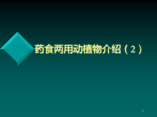 药食两用动植物介绍(2)PPT课件