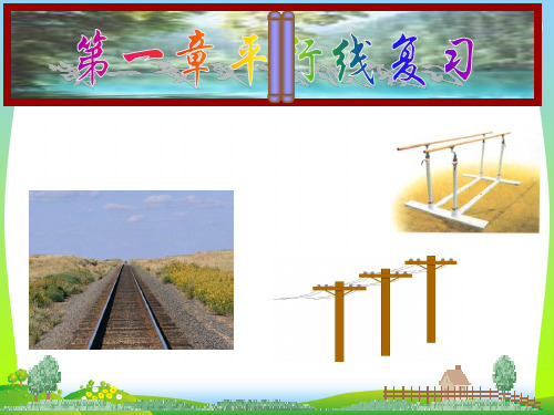 【最新】浙教版七年级数学下册第一章《平行线的复习》公开课课件.ppt