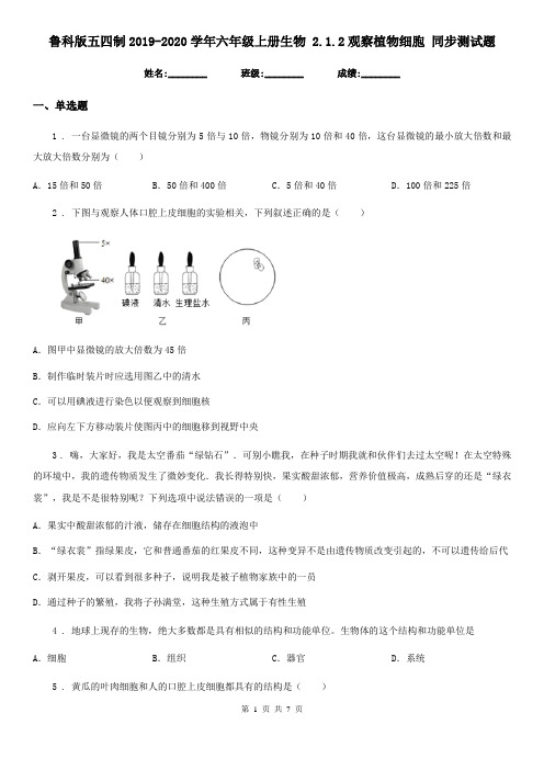 鲁科版五四制2019-2020学年六年级上册生物 2.1.2观察植物细胞 同步测试题