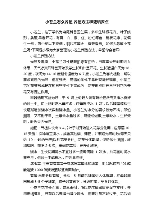 小苍兰怎么养植养植方法和栽培要点