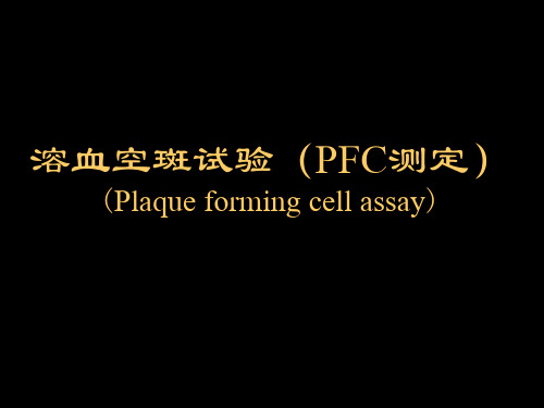 溶血空斑试验(PFC测定)PPT课件