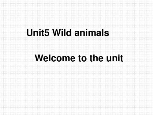 牛津译林版八年级英语上册课件:Unit 5 Wild animals welcome to the unit 教学课件共18张PPT